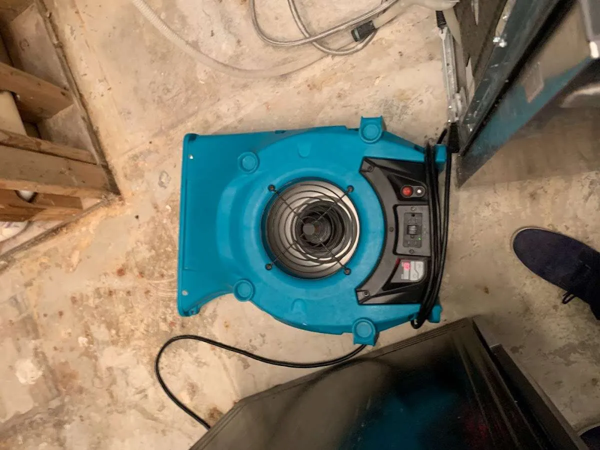 Air mover drying equipment for Mold Remediation & Removal in Rumson